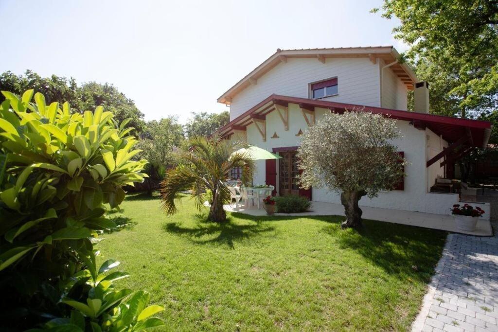 Villa Robert Shumann, A 700 M De La Plage Andernos-les-Bains Luaran gambar